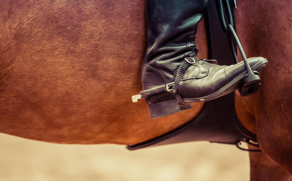 Equestrian's dfoot with heels down on an english stirrup